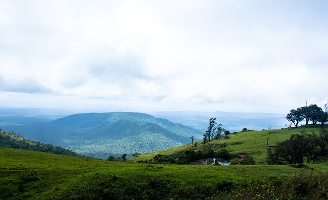 辽媒：辽宁铁人下赛季很可能留用姆本扎、邦本宜裕、费利佩